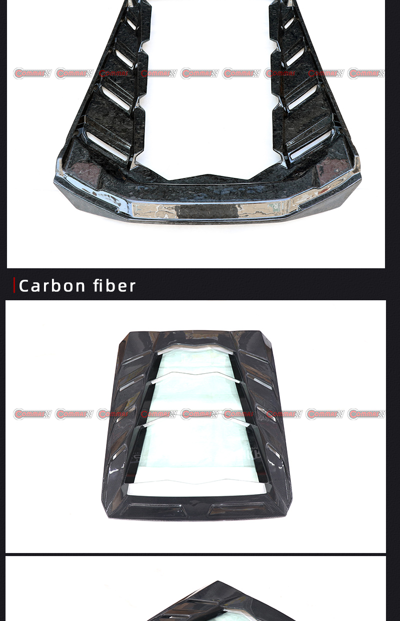 cap&oacute; del motor mansory lambroghini huracan